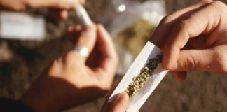 Un procedimiento abreviado permitió cerrar un caso de tráfico de drogas registrado en Riobamba, donde un joven de 24 años fue sentenciado a 40 meses de prisión tras aceptar su responsabilidad en el delito de tráfico ilícito de sustancias catalogadas sujetas a fiscalización, en mediana escala.