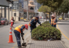 El Municipio de Riobamba, intensificó las labores de mantenimiento de áreas verdes y limpieza permanente de los principales parterres de la ciudad, como parte de su compromiso con el cuidado del entorno urbano y la mejora de la calidad de vida de la ciudadanía. Estas acciones se ejecutan desde la Dirección de Obras Públicas y responden a la visión del alcalde John Vinueza Salinas de promover una ciudad más limpia, ordenada y amigable con el ambiente.