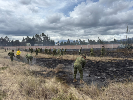 La tarde de este lunes 5 de enero, se registró un incendio de maleza al interior de la Brigada Blindada de Caballería N.° 11, específicamente en un área ubicada al costado de la pista de aterrizaje. El hecho generó una inmediata alerta debido a la cercanía con instalaciones estratégicas y zonas operativas del recinto militar.