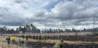 La tarde de este lunes 5 de enero, se registró un incendio de maleza al interior de la Brigada Blindada de Caballería N.° 11, específicamente en un área ubicada al costado de la pista de aterrizaje. El hecho generó una inmediata alerta debido a la cercanía con instalaciones estratégicas y zonas operativas del recinto militar.
