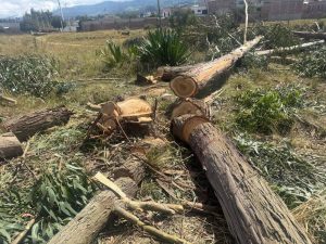Un operativo de control en el norte del cantón Riobamba, puso en evidencia un presunto caso de aprovechamiento forestal irregular. La intervención, liderada por autoridades ambientales y policiales, dejó como resultado la retención de aproximadamente 15 metros cúbicos de madera rolliza y una motosierra que habría sido utilizada en la actividad.