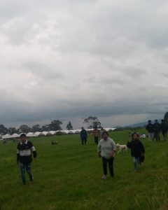 En un hecho de alta conmoción, individuos que se hicieron pasar por agentes de la Policía ingresaron a una vivienda particular ubicada en el sector de San Bartolomé, parroquia Pastocalle, en Cotopaxi donde perpetraron un asalto y sustrajeron más de 70 mil dólares que formaban parte de una caja de ahorros comunitaria.